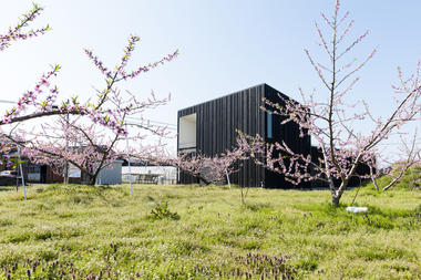Courtyard House in Peach Garden / Takeru Shoji Architects