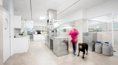 Hospital Veterinario Constitución / Dobleese Space & Branding