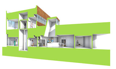 Gallery of Memphis Veterinary Specialists / Archimania  - 13