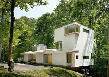 Forest House / Kube Architecture