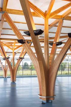 Gallery of CFB Borden All Ranks Kitchen and Dining Facilities  / FABRIQ Architecture + Zas Architects  - 10