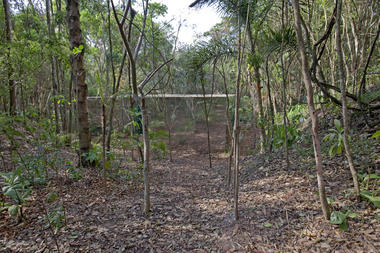 Galeria de Vegetation Room Inhotim / Cristina Iglesias  - 11