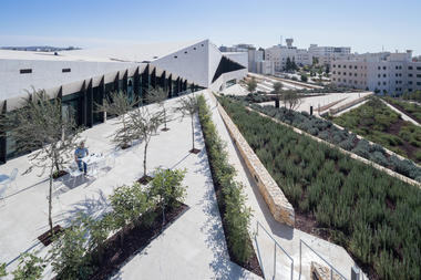 我告诉你关于“巴勒斯坦”的故事 / heneghan peng architect