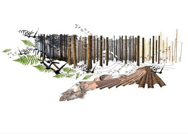 Gallery of EMBT Wins Competition for Undulating Biodiversity Center on German-Czech Border  - 5