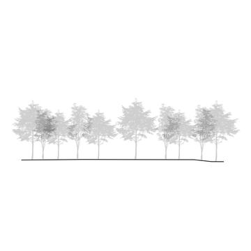 Gallery of Itamabuca House / Gui Mattos  - 13