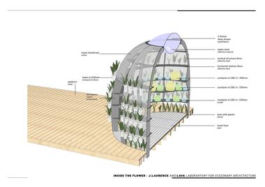 Gallery of Inside the Flower Pavilion  / LAVA  - 20