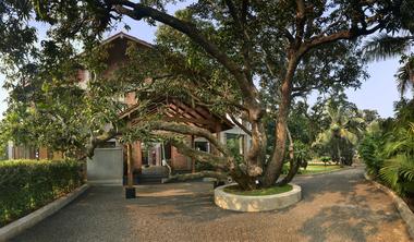 Gallery of The Mango House / Studio PKA  - 19