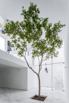 Gallery of The Cave / Abraham Cota Paredes Arquitectos  - 6