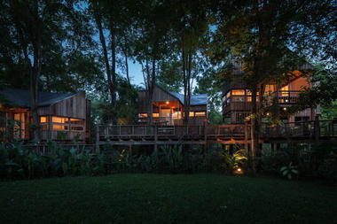 Gallery of Forest House / Studio Miti  - 7