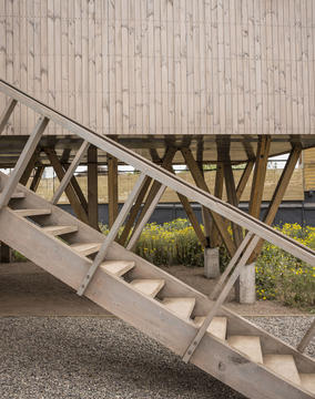 Gallery of Women House / Ignacio Correa  - 15