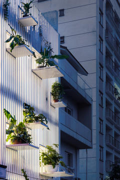 Casa TH  / DANstudio