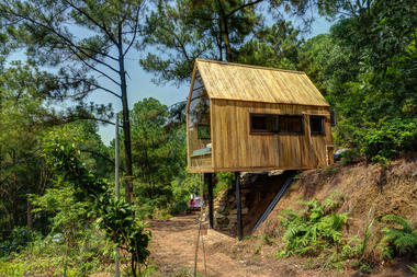 Forest House / Chu Văn Đông