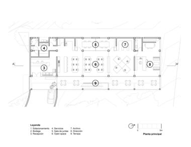 Galería de Corporativo Dunza / Morari Arquitectura + JAA  - 12