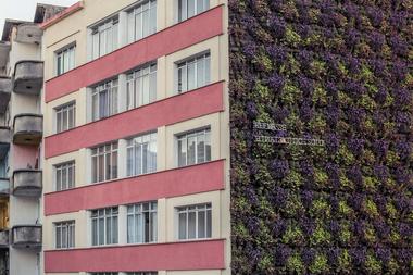 ¿Cómo se montan los jardines verticales?
