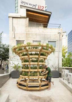 Estructura modular ofrece diseños flexibles para cultivar alimentos en la ciudad