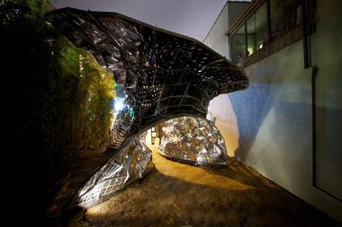 When Biology Inspires Architecture: An Interview with Doris Kim Sung 