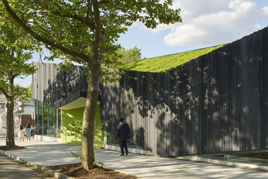 Gallery of Kew Gardens Hills Library / WORKac  - 1