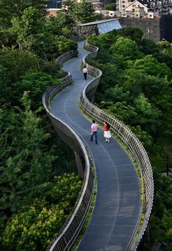 中国福州金牛山森林步道 (福道) / 锐科设计