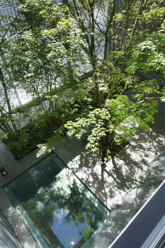 Gallery of Optical Glass House / Hiroshi Nakamura & NAP  - 9