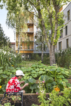 Las viviendas de Bourg / archi5