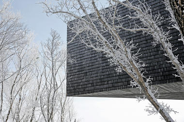 Gallery of Stage of Forest / META-Project  - 16
