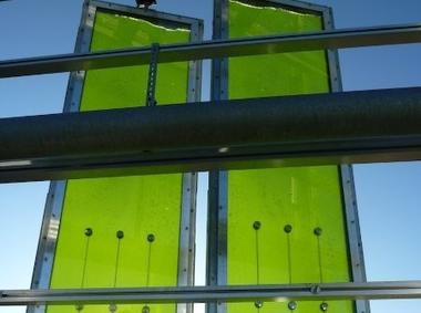 99% Invisible Discusses How Algae Biotechnology Can Affect the Urban Environment