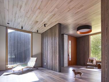 Gallery of House in the Lanes / MB Architecture  - 7