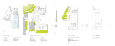 Galería de Hall Atlético y Centro de Bienestar Branksome / MacLennan Jaunkalns Miller Architects   - 22