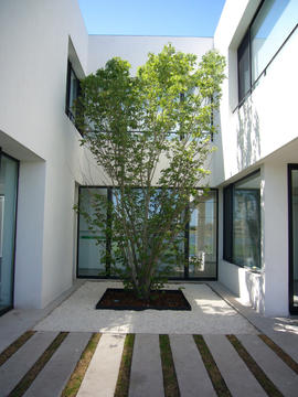 Galería de Casa BR / KLM Arquitectos  - 5