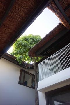 Gallery of The Country House / 1+1>2 Architects  - 8