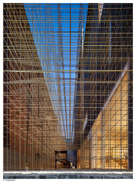 Gallery of AMORE Sulwhasoo Flagship Store / Neri&Hu Design and Research Office  - 12