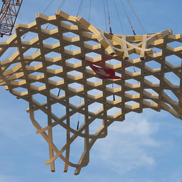 Gallery of Free form structures for wood projects - 7