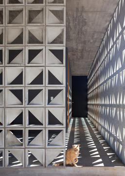 Gallery of Cats in the Right Place at the Wrong Time in Architectural Photography  - 2