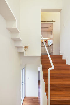 Gallery of Cats in the Right Place at the Wrong Time in Architectural Photography  - 10