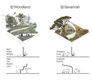 Gallery of Winning Concepts for Zoo of the 21st Century Competition Announced  - 21