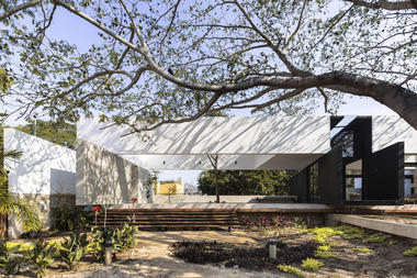 Casa del Árbol / AS Arquitectura