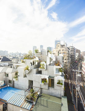 Gallery of Tree-ness House / Akihisa Hirata  - 20