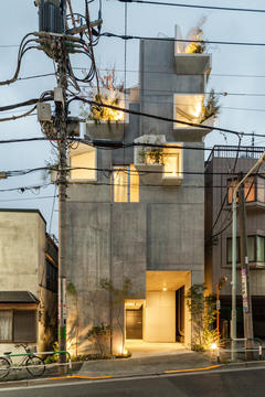 Galería de Casa Tree-ness / Akihisa Hirata  - 2