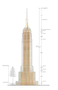 Gallery of Could the Empire State Building Have Been Built with Wood?  - 2