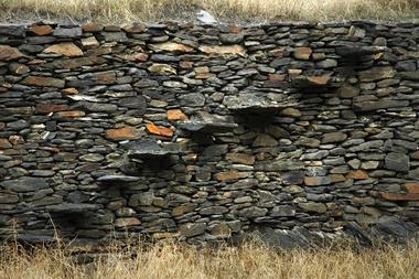 La arquitectura de la memoria: donde habita el pensamiento