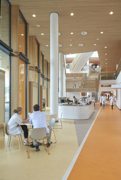Gallery of Princess Máxima Centre for Child Oncology / LIAG architects  - 9