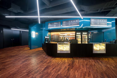 Gallery of Delphi LUX, Cinema / Batek Architekten + Ester Bruzkus Architekten  - 19