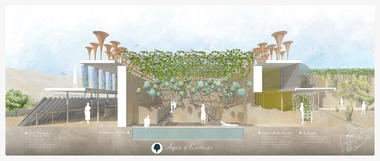 Ruin Experience: un diálogo entre arquitectura y naturaleza a través de los sentidos