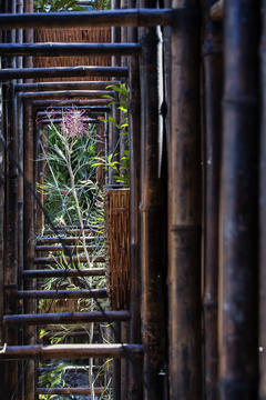 Gallery of Green Ladder / VTN Architects  - 6