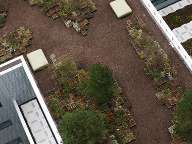 Gallery of Toni Areal Roof Garden / Studio Vulkan Landscape Architecture  - 13