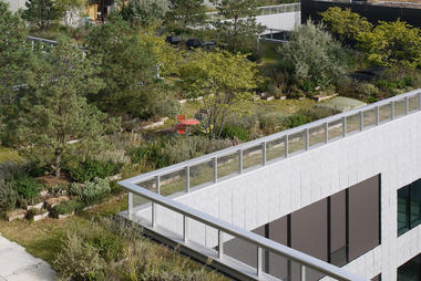 Gallery of Toni Areal Roof Garden / Studio Vulkan Landscape Architecture  - 12