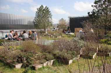 Gallery of Toni Areal Roof Garden / Studio Vulkan Landscape Architecture  - 3