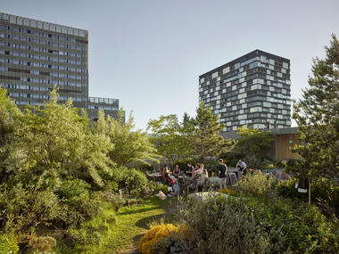 Gallery of Toni Areal Roof Garden / Studio Vulkan Landscape Architecture  - 1