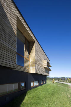 Gallery of VF House / AM Arquitectura  - 7