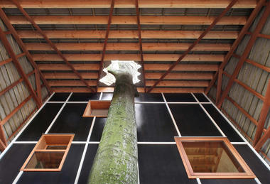 Gallery of House Bernheimbeuk / architecten de vylder vinck taillieu  - 4